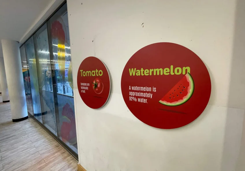 Falconwood display discs