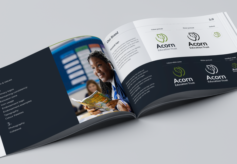 Audit multi-academy trust branding