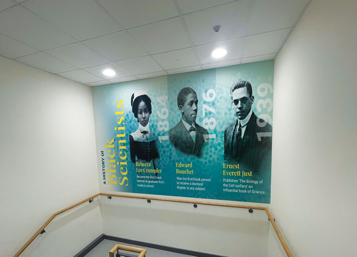 Cleverbox Wall Wraps